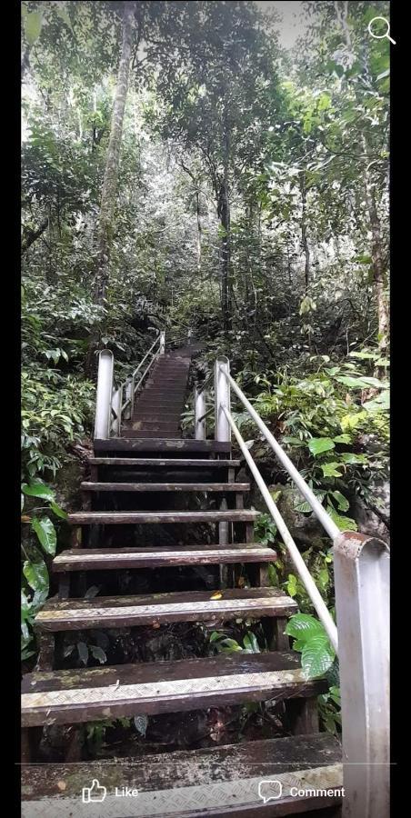 Mulu Homestay Exterior foto
